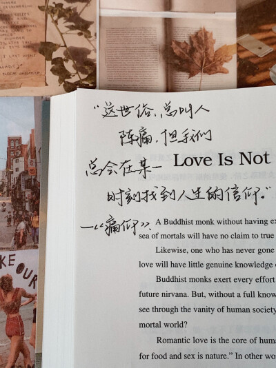语录分享|背景书：《英译中国现代散文》
©️小熊手写-