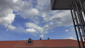 我又回来啦！
冒着手机zl的危险，用滤镜拍了几张照片