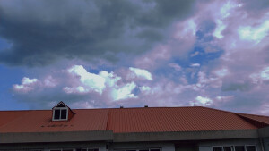 我又回来啦！
冒着手机zl的危险，用滤镜拍了几张照片