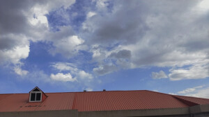 我又回来啦！
冒着手机zl的危险，用滤镜拍了几张照片