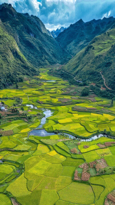 风景