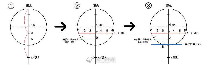 人物头部教程绘画步骤