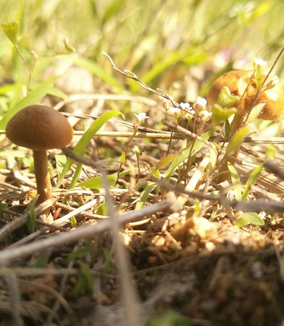 蓝天风景蓝色系壁纸背景图