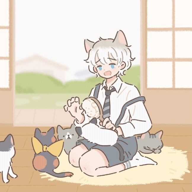 遇见你的猫