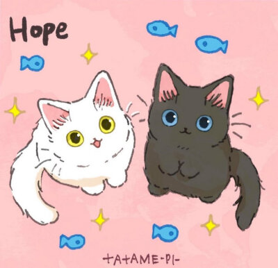 可爱的猫猫 ~ 画师たたメーピー插画作品