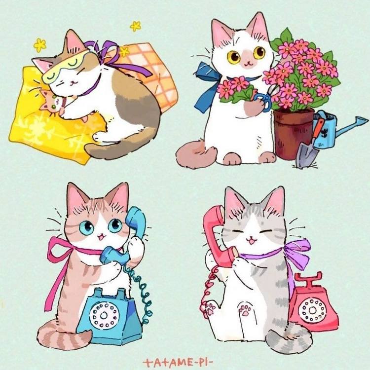 可爱的猫猫 ~ 画师たたメーピー插画作品