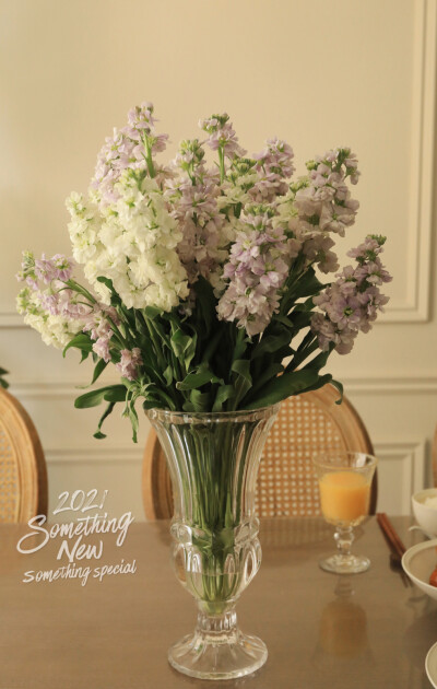 [太阳]五月二日[太阳]
宅家好好吃个饭
西班牙橄榄五花肉
名字好噱头耶[吃瓜]
很久没吃红烧肉卤蛋
一小盘一顿光[馋嘴]
清蒸白水鱼
九层塔木棉豆腐竹笋煲
白灼秋葵
鲜榨橙汁
白色与紫色的紫罗兰太温柔 ​​​