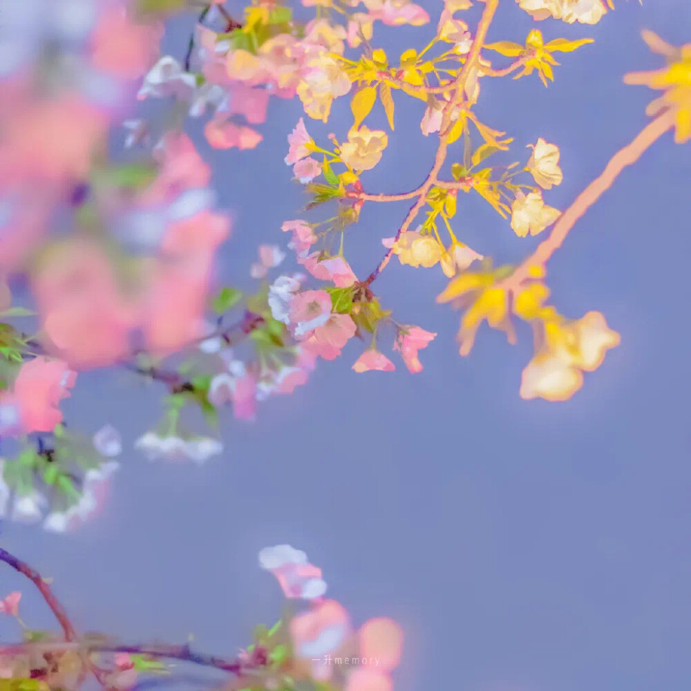 背景图