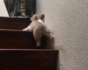 精选男生头像【图图兽】