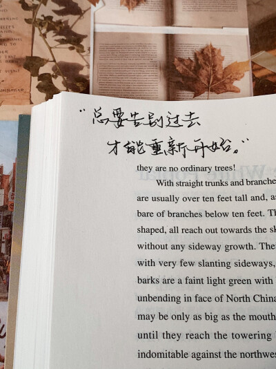 语录分享 背景书：《英译中国现代散文》
©️小熊手写-