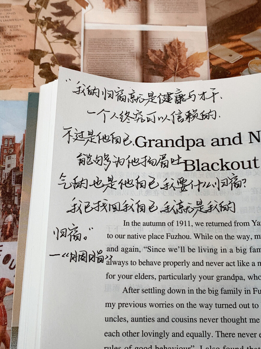 语录分享 背景书：《英译中国现代散文》
©️小熊手写-