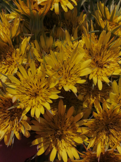 人生最重要的不是快乐，而是平静。 -- 蔡康永