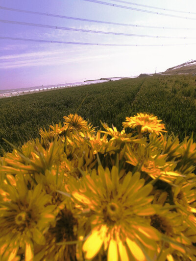 人生最重要的不是快乐，而是平静。 -- 蔡康永