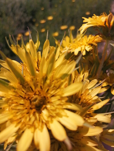 人生最重要的不是快乐，而是平静。 -- 蔡康永