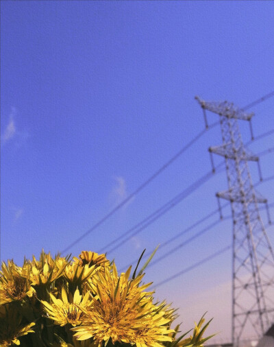 人生最重要的不是快乐，而是平静。 -- 蔡康永