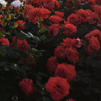 ¨̮ ᴴᴬᵛᴱ ᴬ ᴳᴼᴼᴰ ᵀᴵᴹᴱ
这组从一些博主那里裁剪的 还没修过 可以二改
દ ᵕ̈ ૩ ☁️