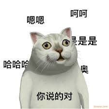 憨憨猫表情包（cr：网络）