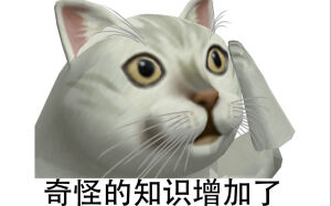 憨憨猫表情包（cr：网络）