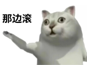 憨憨猫表情包（cr：网络）