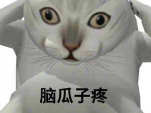 憨憨猫表情包（cr：网络）