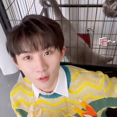 可二改 注明沈亭瞳/饼干小麋鹿
不注明别改