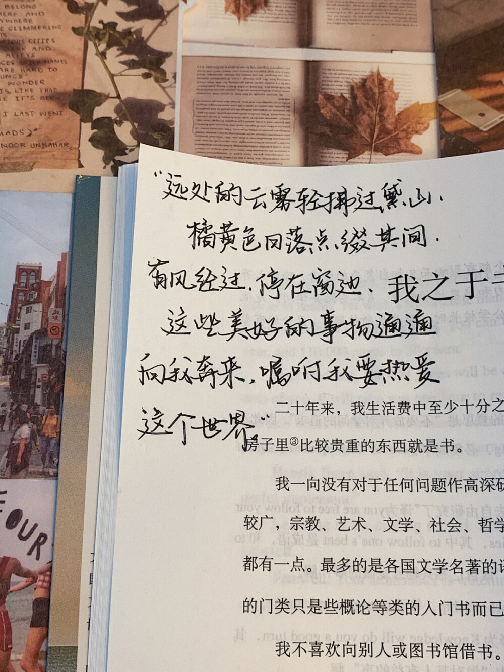 语录分享 背景书：《英译中国现代散文》
©️小熊手写-