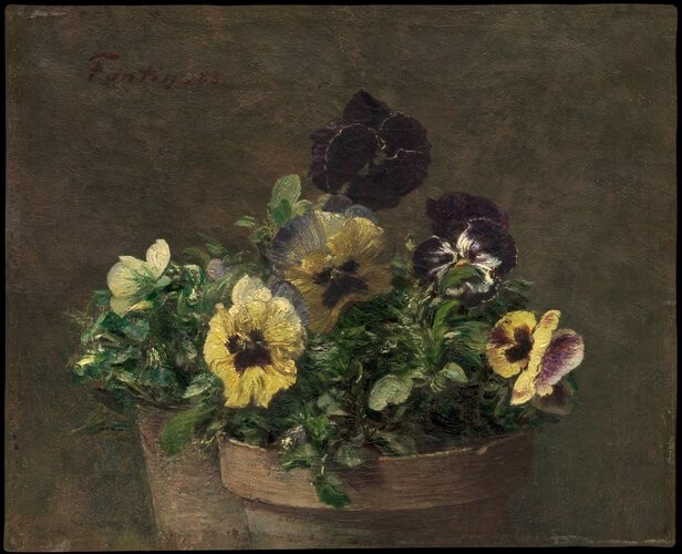 亨利·范丁·拉图尔（Henri Fantin-Latour），盆栽紫罗兰，1883年