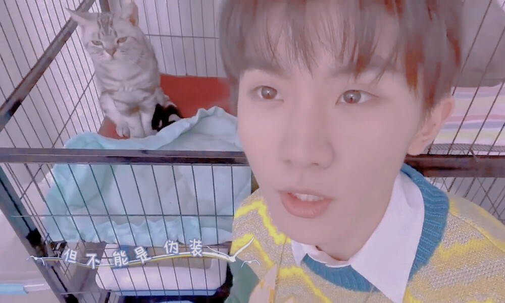 自截自p
时代少年团自拍mv 1