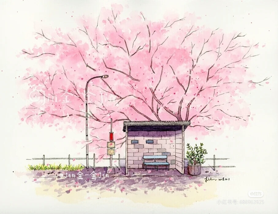 桜