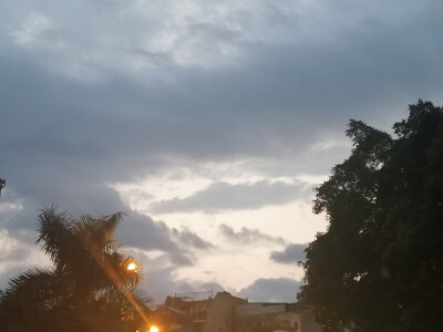 “北冥有鱼”
“其名为鲲”
“南冥有花”
“其名为春”
“春去秋来”
“海棠花开”
“春还鲲命”
“谁还秋情”