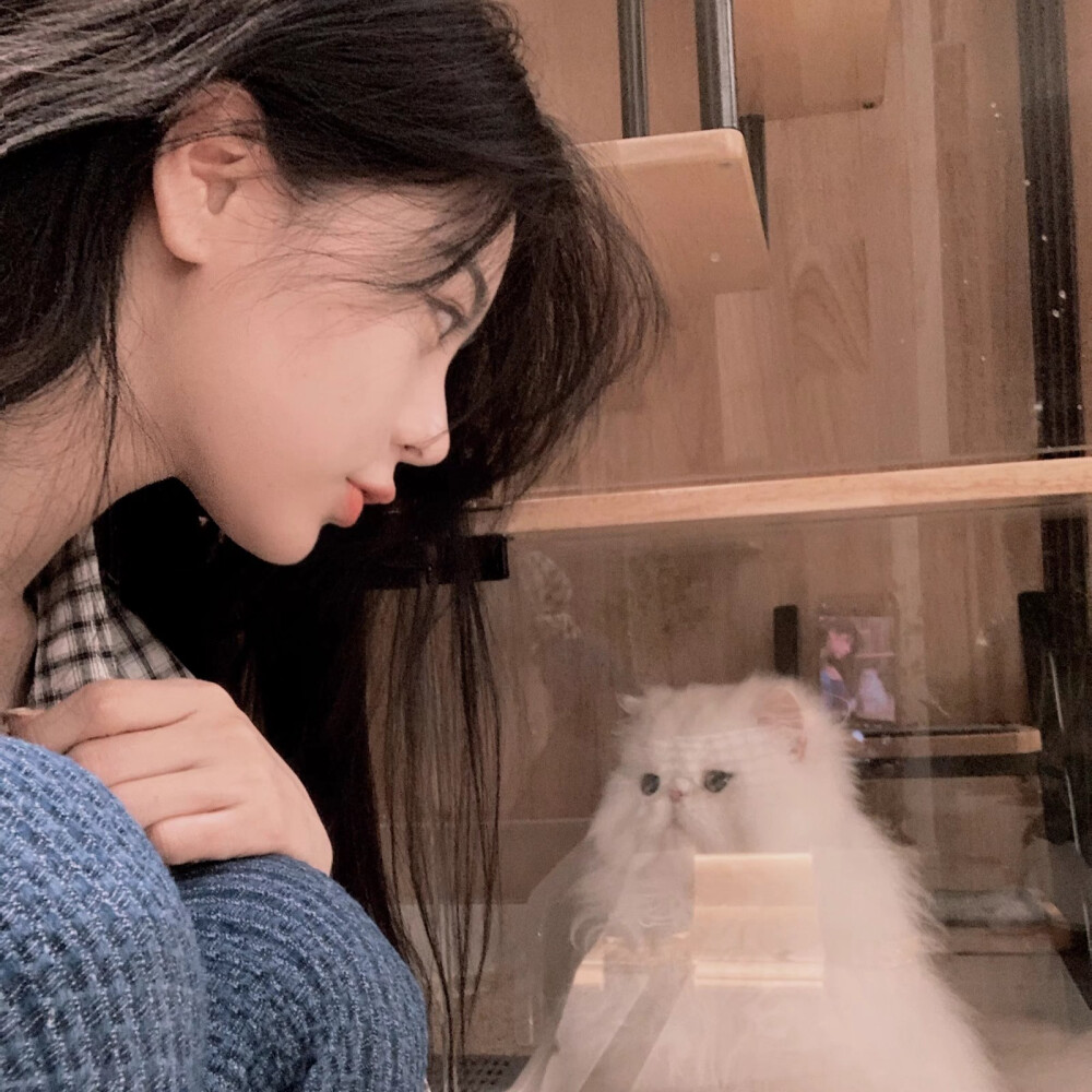 二传注明堆糖沈乔