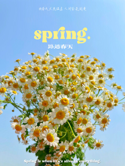 春天花会开