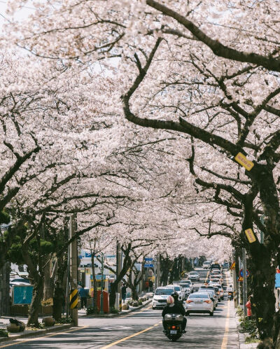 春天来的很慢 春天才有浪漫