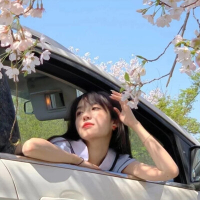 女生头像 蜜茶软熊自截