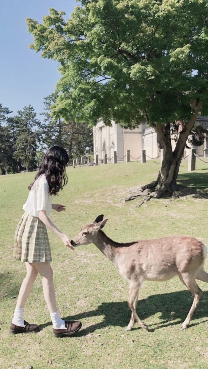 女生+男生+情侣+韩系+气质+治愈+清新+意境+背景+森系+简约+局部+闺蜜+中系+文艺+[侵删]【我羡慕席城的墓碑上写着南湘的爱人】