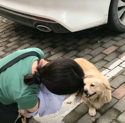 海很好看但船要靠岸.