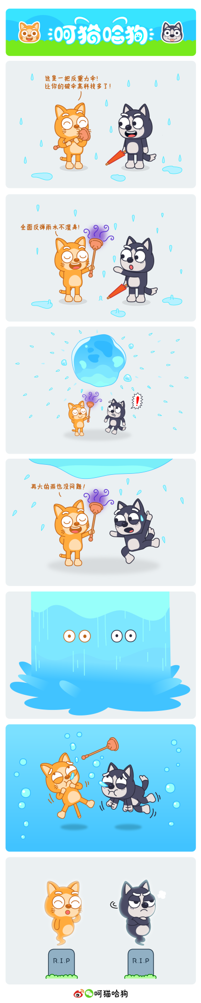 呵呵猫，猫，哈哈狗，狗，漫画，呵猫哈狗