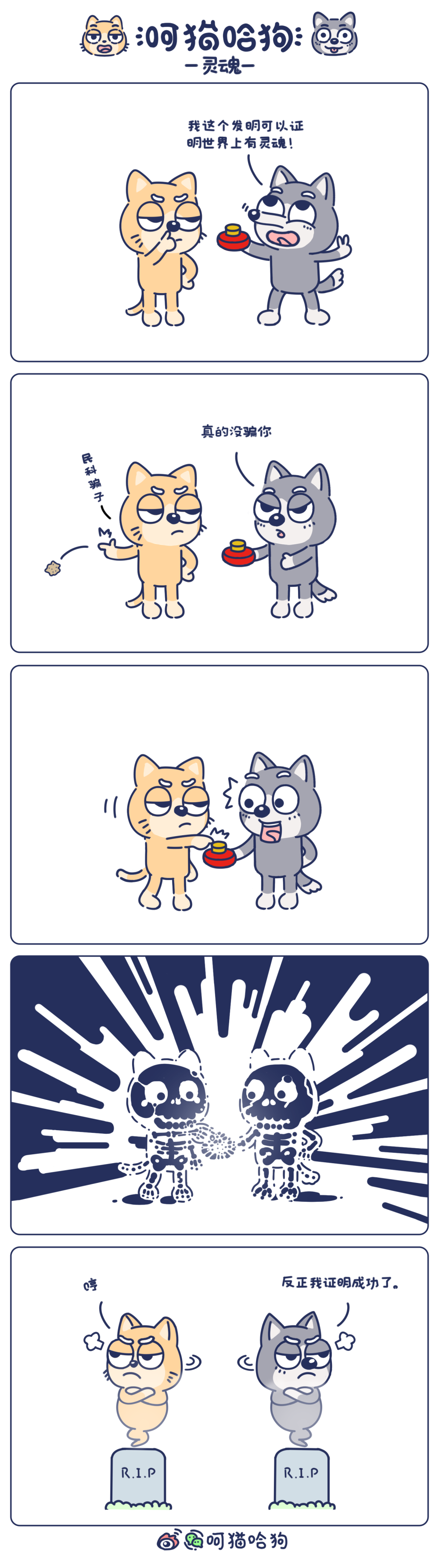 呵呵猫，猫，哈哈狗，狗，漫画，呵猫哈狗