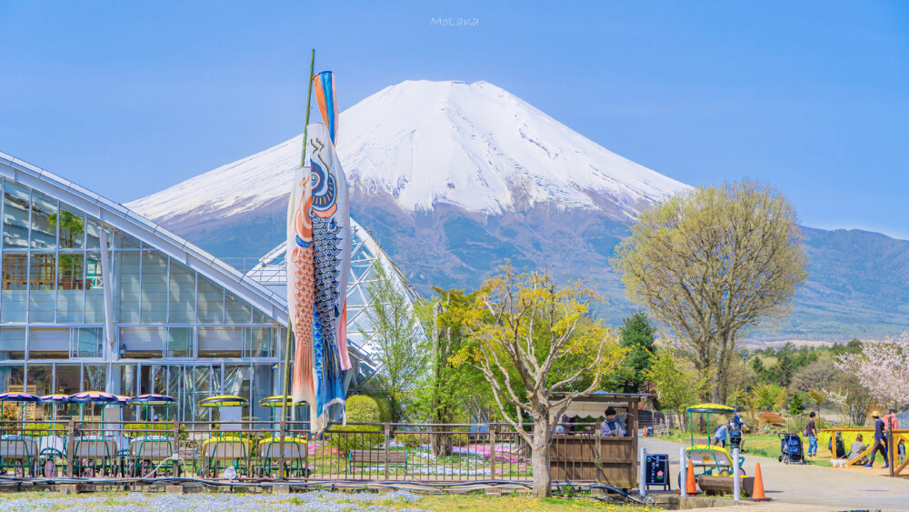 富士山的初夏