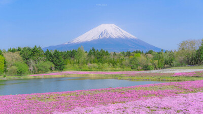 富士山的初夏