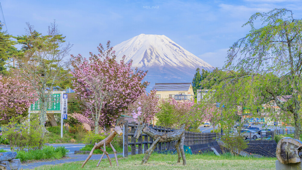 富士山的初夏