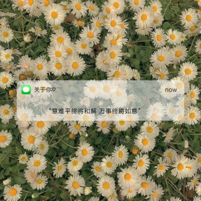 文字壁纸—message背景图