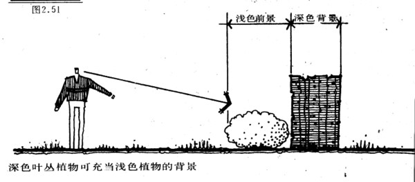 景观植物配置知识