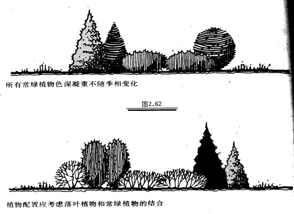 景观植物配置知识