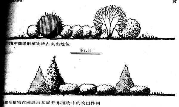 景观植物配置知识