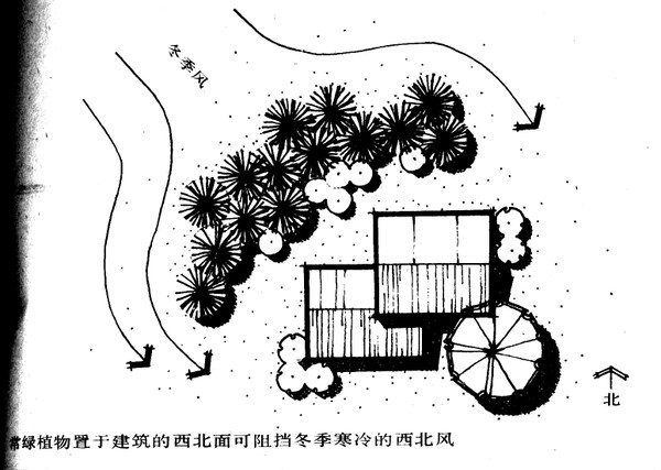 景观植物配置知识