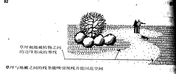 景观植物配置知识