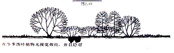 景观植物配置知识