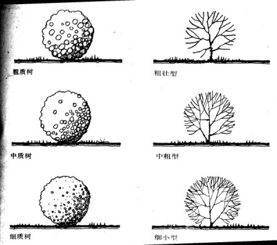景观植物配置知识