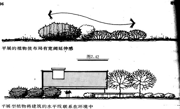 景观植物配置知识